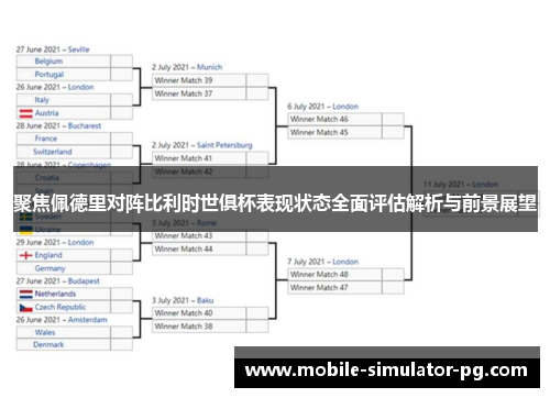 聚焦佩德里对阵比利时世俱杯表现状态全面评估解析与前景展望