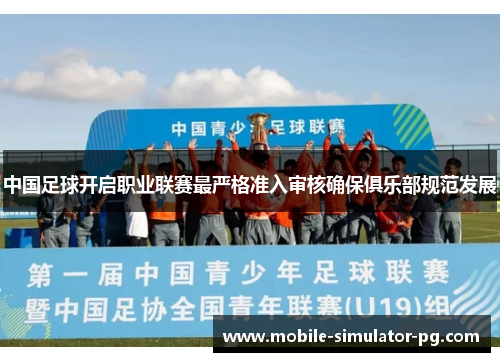 中国足球开启职业联赛最严格准入审核确保俱乐部规范发展